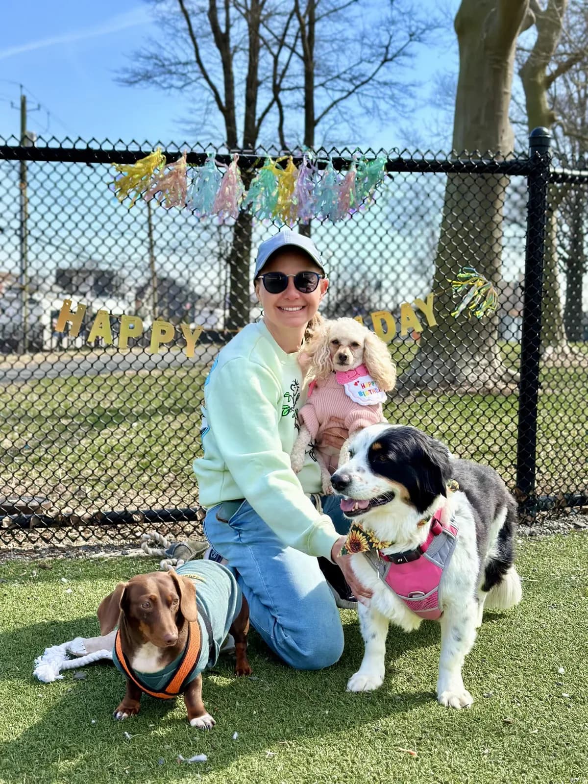 Brooklyn dog camp day photo from Woof & Move doggy bus 32