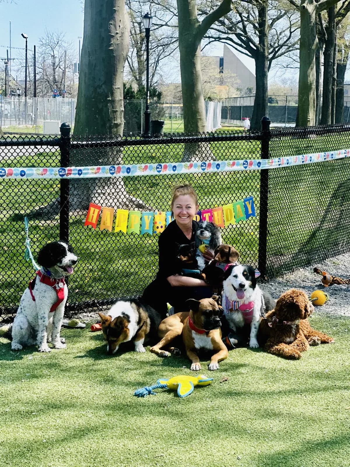 Brooklyn dog camp day photo from Woof & Move doggy bus 62