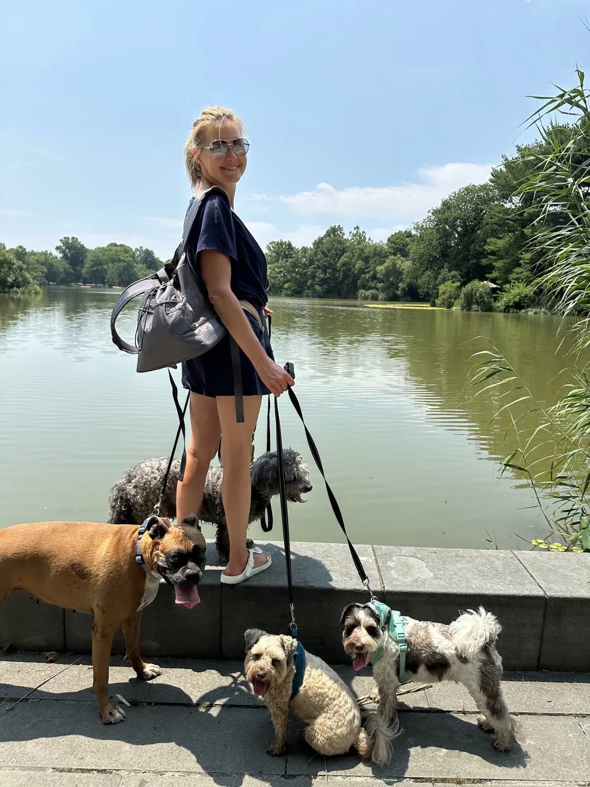 Brooklyn dog camp day photo from Woof & Move doggy bus 85