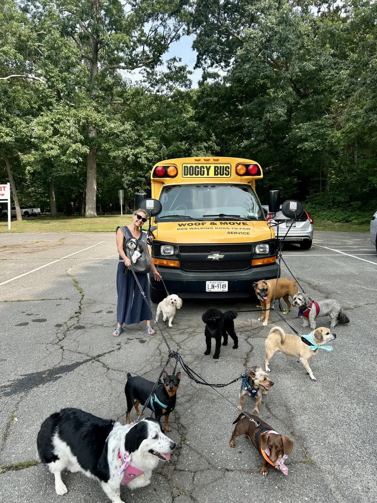 Brooklyn dog camp day photo from Woof & Move doggy bus 123