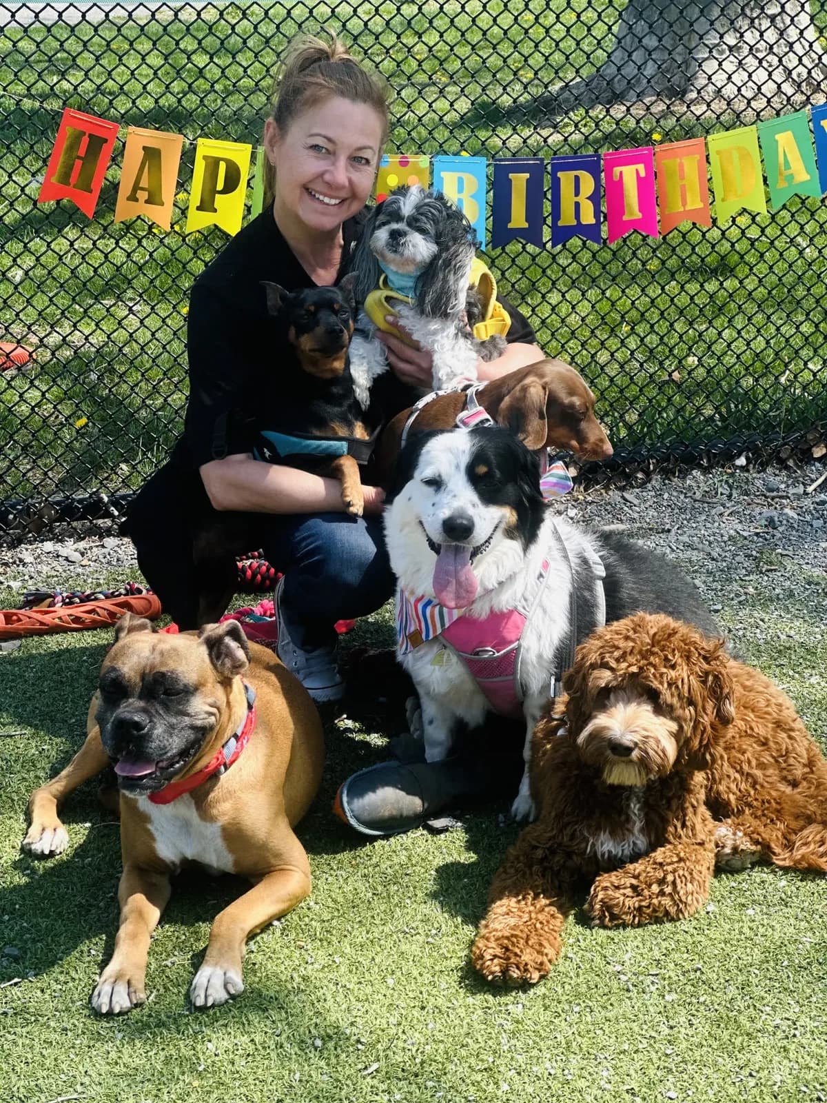 Brooklyn dog camp day photo from Woof & Move doggy bus 61