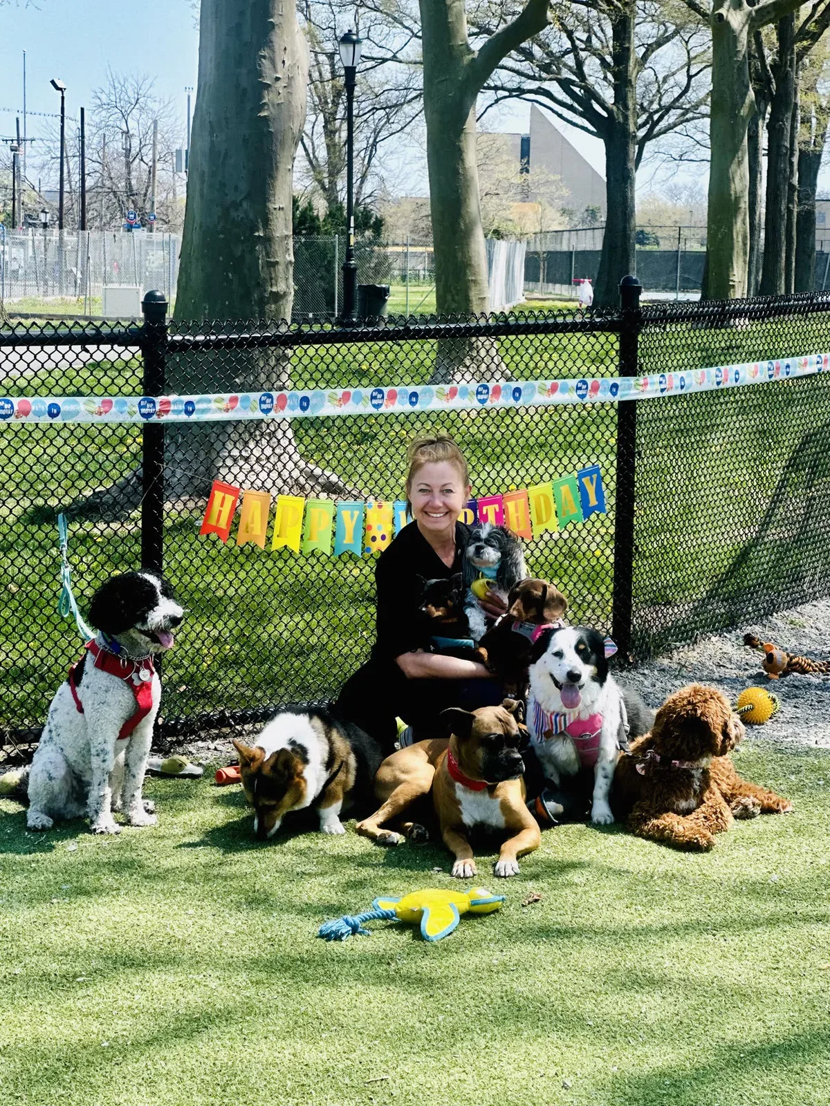 Brooklyn dog camp day photo from Woof & Move doggy bus 62