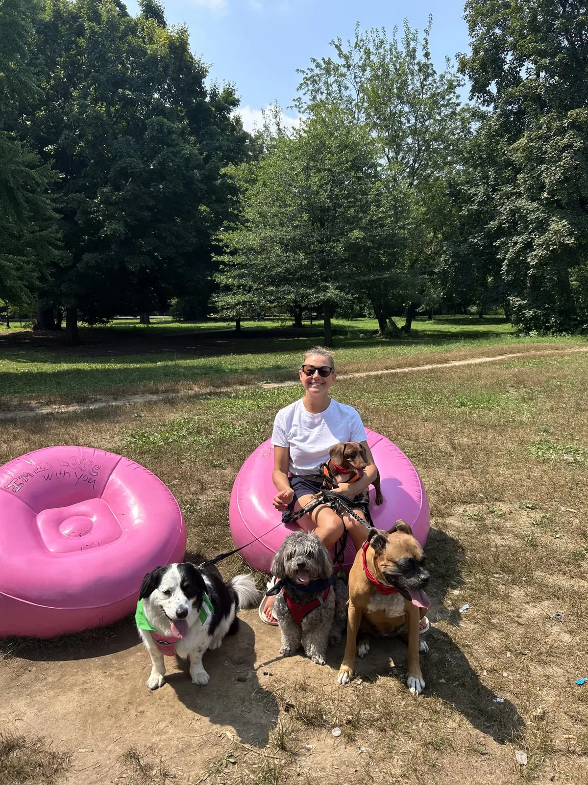 Brooklyn dog camp day photo from Woof & Move doggy bus 119